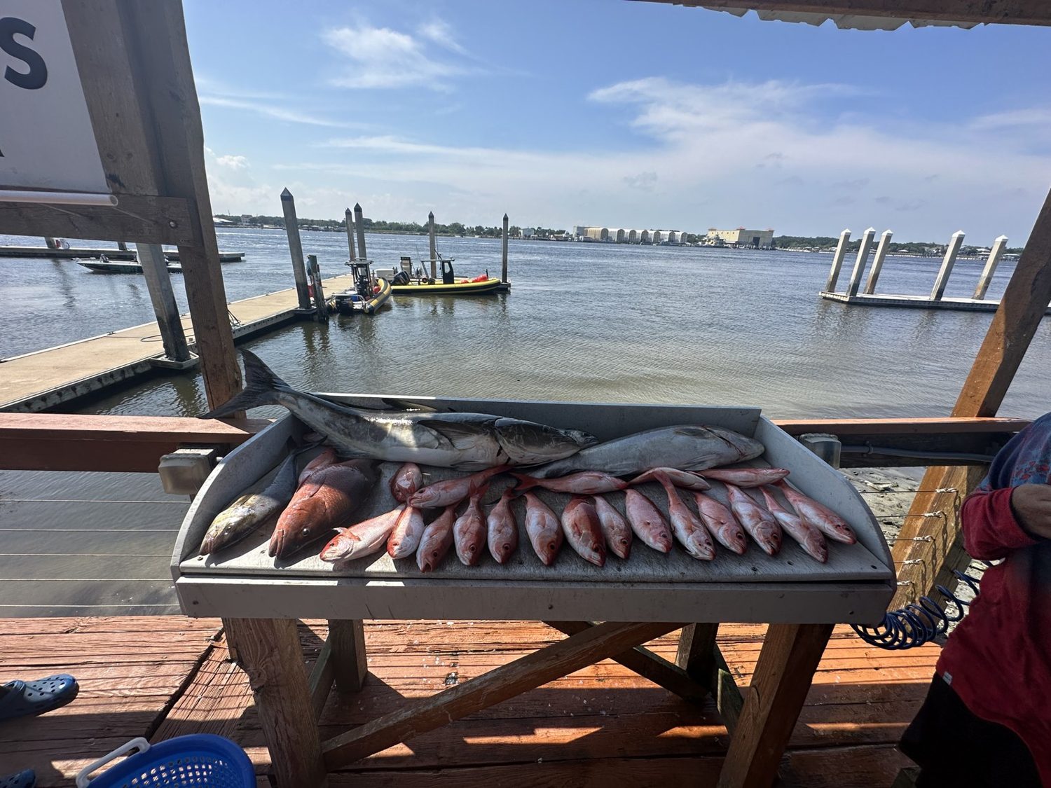 Cleaning table full of red snapper after an advanced camp trip