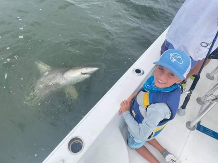 Camper watching a shark boatside